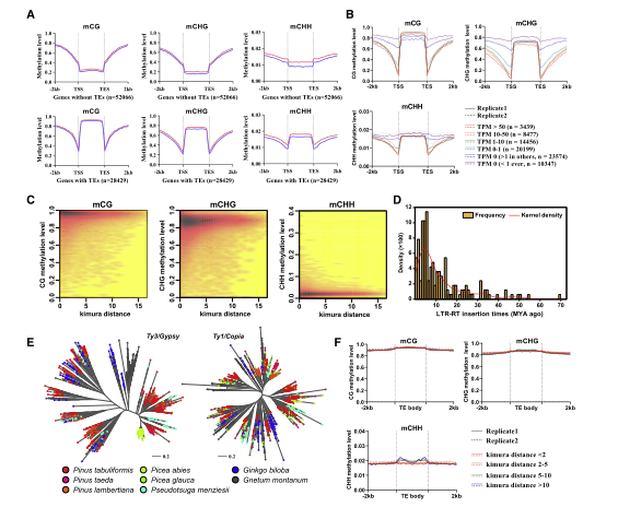 1658916823749257.png 6.png